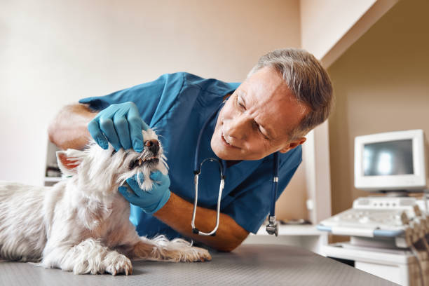 Best Broken Tooth Emergency  in Travis Ranch, TX